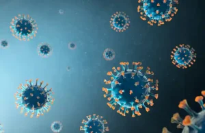 Six new COVID-19 cases in Rajasthan; Haryana tally reaches 18