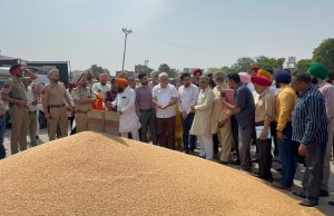 Due to bumper crop, 125 lakh metric tonnes of wheat is likely to arrive in Punjab’s markets: Lal Chand Kataruchak