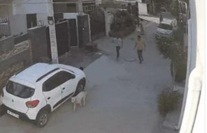 6-year-old boy severely injured in stray dog attack in Jalandhar