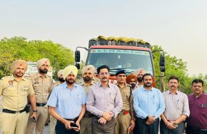 Punjab’s Crackdown on Spurious Liquor Scores Major Success: Patiala Police and Excise Department Seize 600 Litres of Methanol