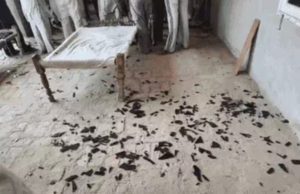 Pakistan targets Punjab again after Operation Sindoor; drones shot down, rockets recovered across multiple districts