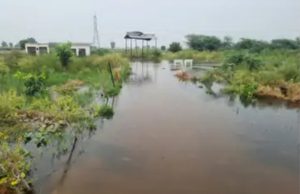 Ghaggar drain breached in Bhiwani, 2,500 acres submerged