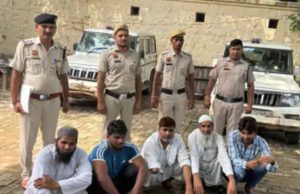 Five arrested in Nuh clash, police hunt for others