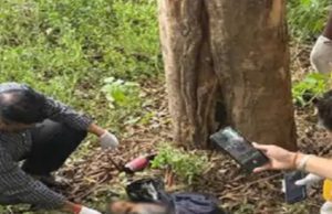 Six-month-old girl killed by grandparents in Jalandhar after mother eloped with lover