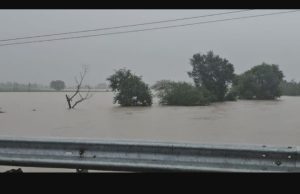 Water level in Sutlej rises sharply, villages guard Dhusi dam through night