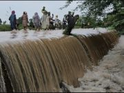 Government’s Thoughtful Action – Flood-Affected Animals Also Got Relief
