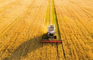 From 3,114 to 415: Stubble burning down 75% in Punjab, yet BJP and Delhi govt blame farmers: What’s really choking Delhi?