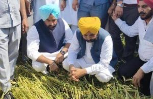 From Offices to Fields: How Punjab’s Chief Minister is redefining Farmer-Centric Governance, Problems being solved immediately