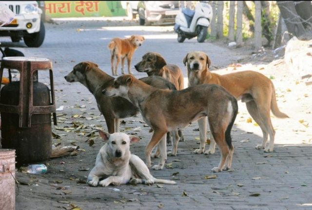 Screenshot_2025_1031_101856