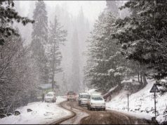 Cold wave intensifies in Himachal Pradesh, Tabo records minus 5.5°C