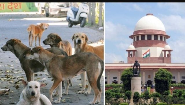 Screenshot_2025_1107_084454