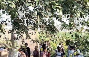 Two women and 11-year-old boy killed in road accident near Jaito