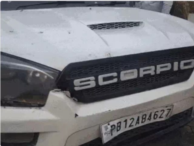 Screenshot_2025_1117_130139