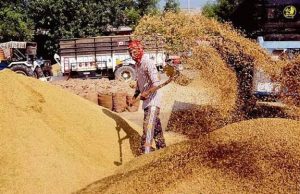 Paddy lifting crosses 100 Lakh Metric Tonne mark