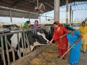 Registration fee slashed for new Agriculture, Dairy & Fisheries Cooperative Societies