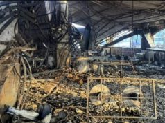 Thai authorities initiate deportation process for Luthra brothers in Goa nightclub fire case