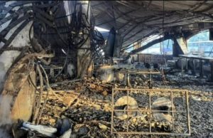 Thai authorities initiate deportation process for Luthra brothers in Goa nightclub fire case