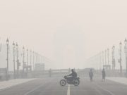 Delhi air quality remains severe despite GRAP-IV, average AQI at 461