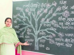 Mann Government’s Vision: Government School Teacher Revives Punjabi