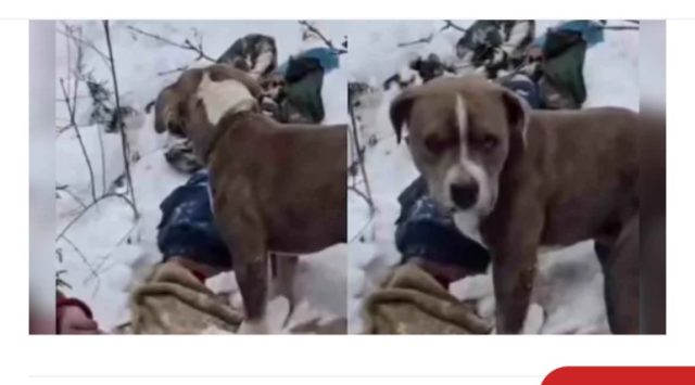 Screenshot_2026_0127_232335