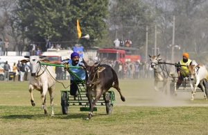 Agriculture Minister Gurmeet Singh Khuddian inaugurates 86th Kila Raipur Rural Olympics