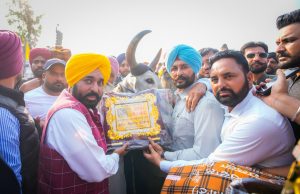 Bullock cart races were halted during tenure of previous govts in Rural Olympics; we amended law & resumed them: CM Bhagwant Singh Mann