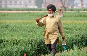 Punjab, Haryana among top states in farm debt; Andhra, Kerala lead list