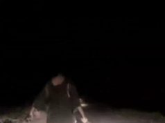 Video shows NRI woman chasing alleged robbers with sword in Ludhiana; police begin probe