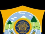 Himachal Police detain Delhi Police personnel over arrest of Youth Congress leaders