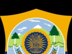 Himachal Police detain Delhi Police personnel over arrest of Youth Congress leaders