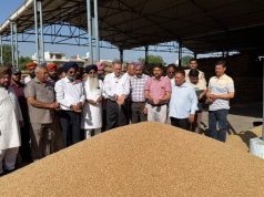 Despite challenges, Bhagwant Mann Government committed to procure every single grain of wheat from mandis: Dr Balbir Singh