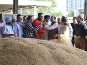 Cabinet Minister Starts Wheat Procurement at New Grain Market, Interacts with Farmers