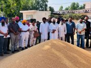 Deputy Speaker Rouri visits grain markets to review facilities and procurement arrangements Speaker Rouri hoshiarpur