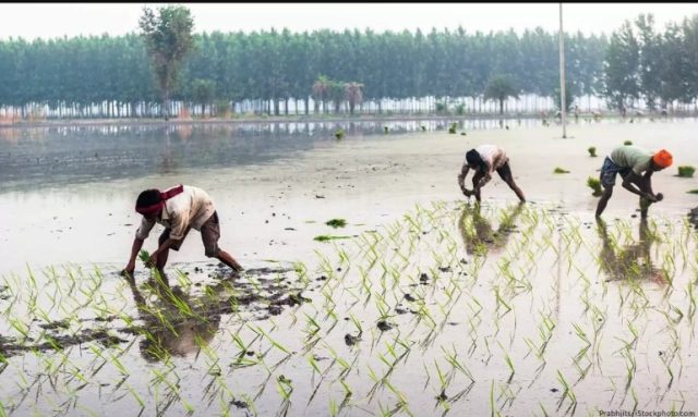 Screenshot_2026_0403_062705