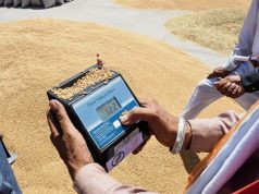 Punjab likely to get relaxation in wheat procurement norms; Centre decision expected soon