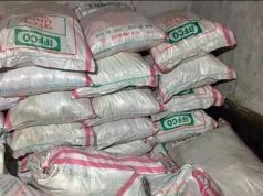 Punjab may face fertiliser shortage ahead of paddy season amid West Asia tensions