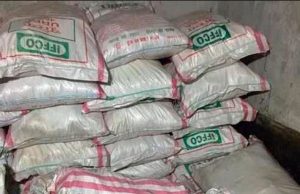 Punjab may face fertiliser shortage ahead of paddy season amid West Asia tensions