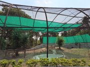 Chhatbir Zoo ensures comprehensive arrangements for providing respite to animals from scorching summer heat: Lal Chand Kataruchak