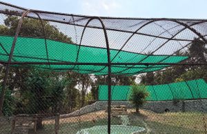 Chhatbir Zoo ensures comprehensive arrangements for providing respite to animals from scorching summer heat: Lal Chand Kataruchak