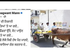 CM Mann takes swipe at Raja Warring over bullock cart campaign