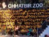 Chhatbir Zoo school Club enrolls 4,850 schools, Engages over 4.2 Lakh students in four years