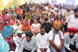 Cm mann visit jalandhar