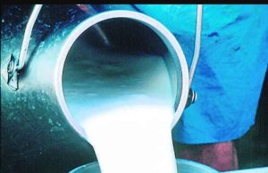 Punjab launches ‘Milk, not plastic’ campaign; Verka offers ₹2 per litre discount through vending vans