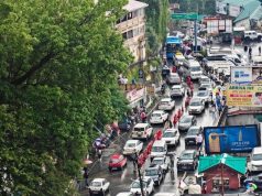 Shimla sees tourist surge as summer holidays drive heavy influx