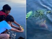 Ganesh idol immersion in Canadian lake sparks controversy, triggers online debate