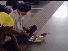 Viral video of Sikh elder sharing langar with bird wins hearts online