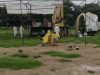 Farmers rally in Chandigarh against India-US trade deal, traffic disrupted