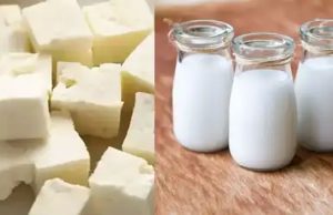 Punjab में दूध, घी और पनीर को लेकर सामने आयी Report, 35% से ज्यादा सैंपल फेल, लोगों की सेहत को खतरा