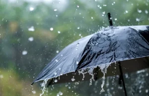 Punjab Weather: मानसून ने दी दस्तक… 11 जिलों में बारिश का यलो अलर्ट