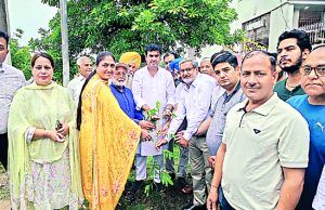जालंधर: अर्बन एस्टेट फेज-2 के B-ब्लॉक में सड़क का उद्घाटन, मेयर व थियाड़ा ने किया पौधारोपण